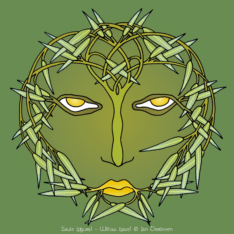 saule figure